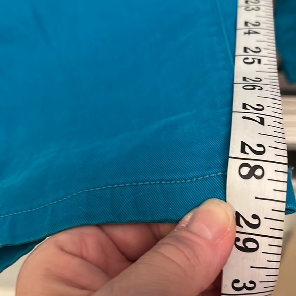 Gorgeous color Loft pants - Picture 2 of 6